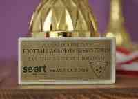 puchar sportowy, turniej halowy Busko-Zdr&oacute;j, seart cup